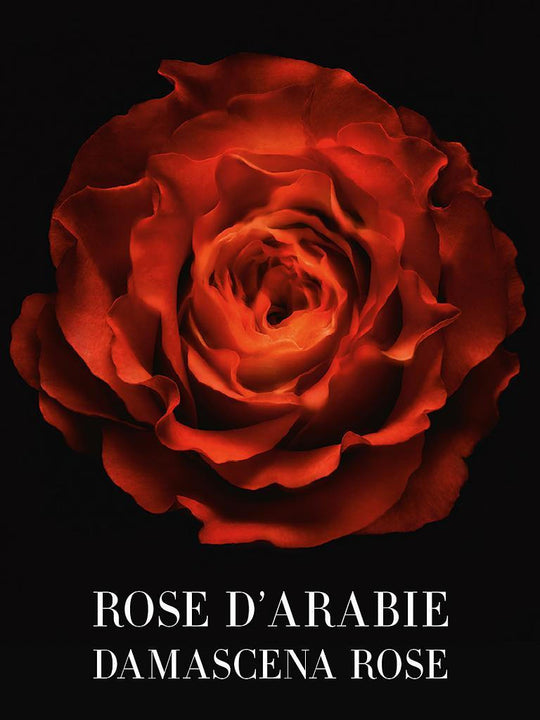 armani-prive-rose-d-arabie-edp-50ml-vap