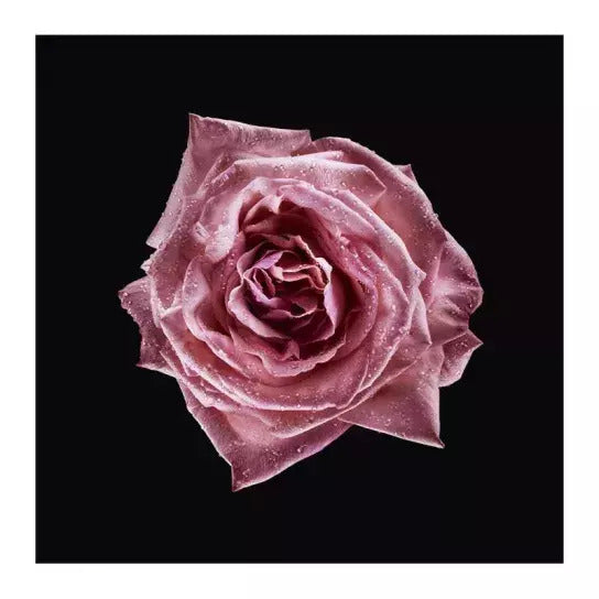 armani-prive-rose-milano-edt-100ml