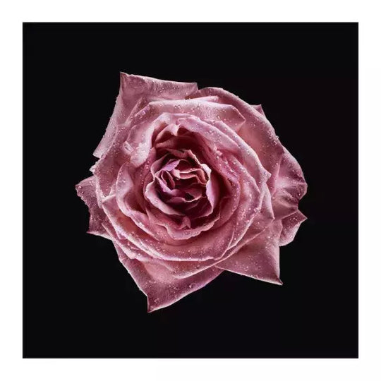 armani-prive-rose-milano-edt-100ml