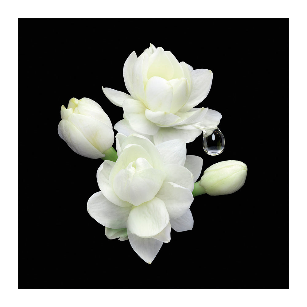 armani-prive-jasmin-kusamono-edt-100ml