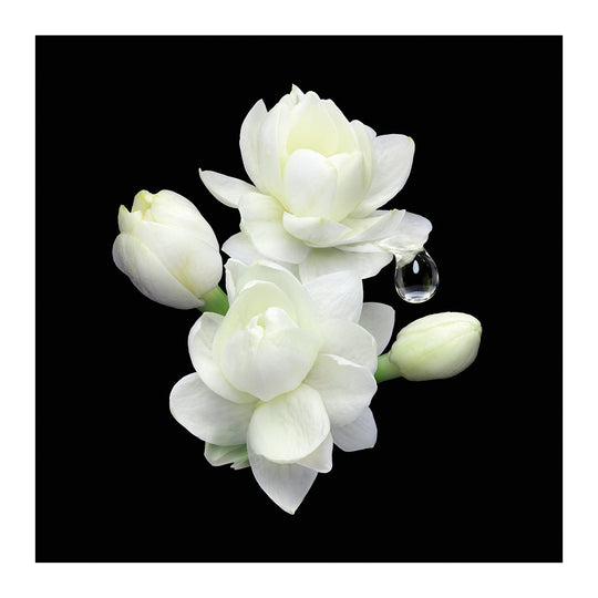 armani-prive-jasmin-kusamono-edt-100ml