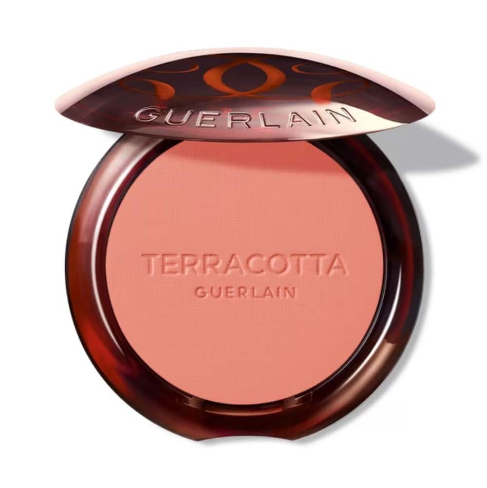 guerlain-terracotta-blush-02-5g