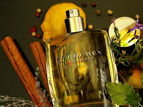 burberry-men-edt-100ml-vapo