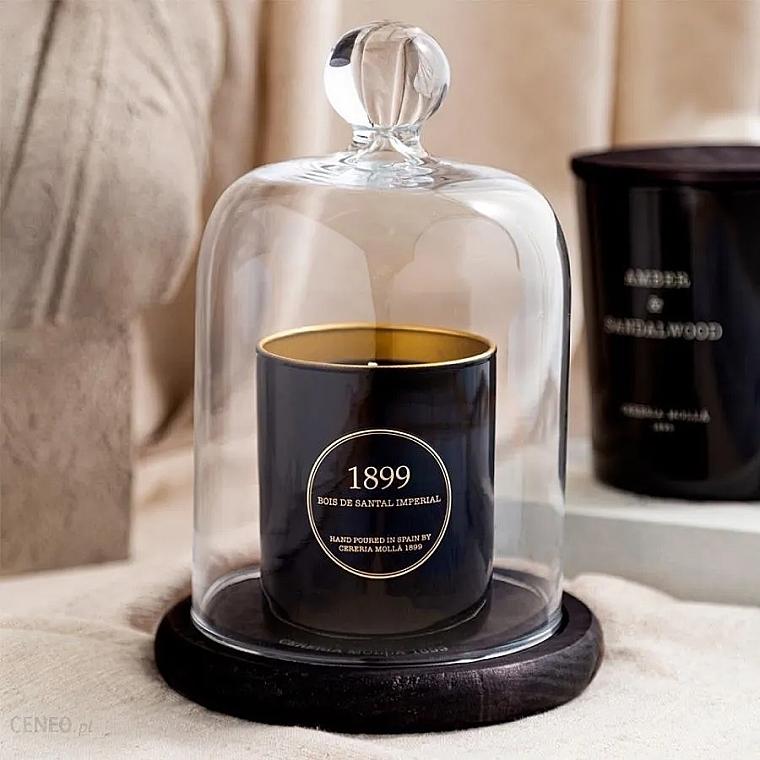 trvdon-la-cloche-campana-base-legno