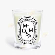diptyque-mimosa-candela-190gr
