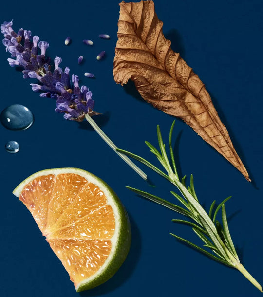 armani-adg-homme-recharge-150ml-v