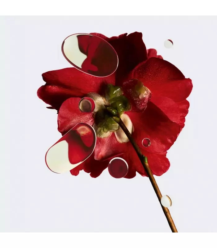 chanel-n-1-lotion-revital-150ml