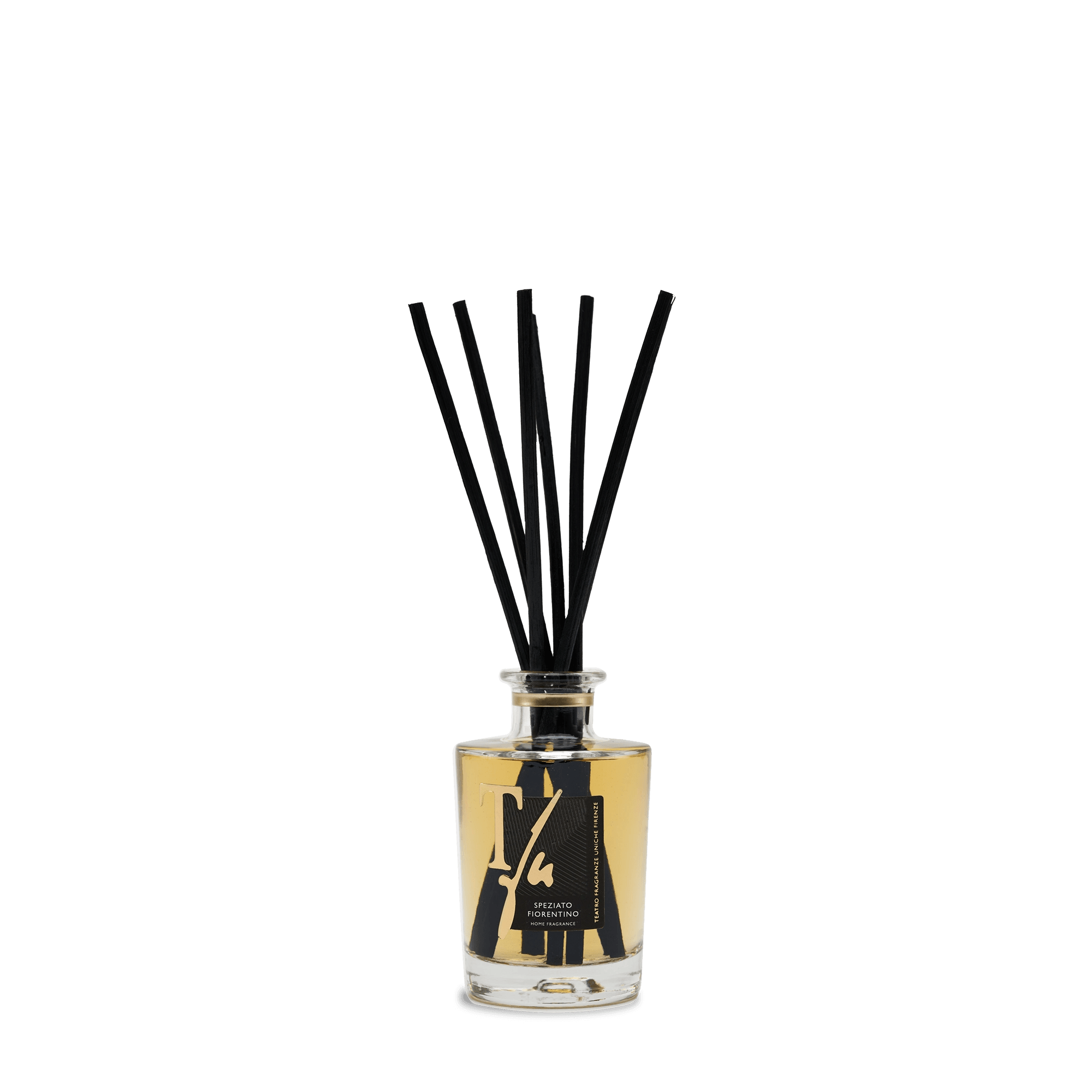 teatro-fr-speziato-fiorentino-sticks100