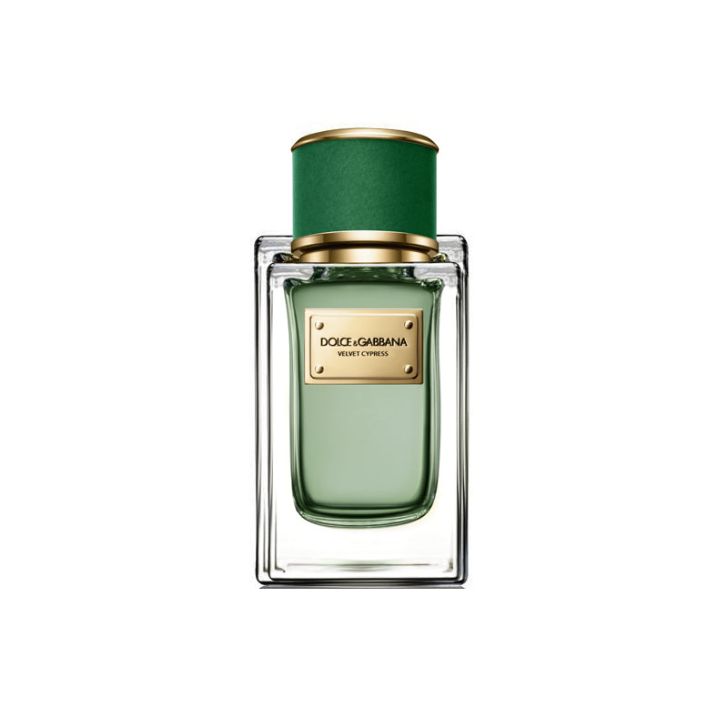Dolce & Gabbana Velvet Cypress Eau de Parfum 50 ml
