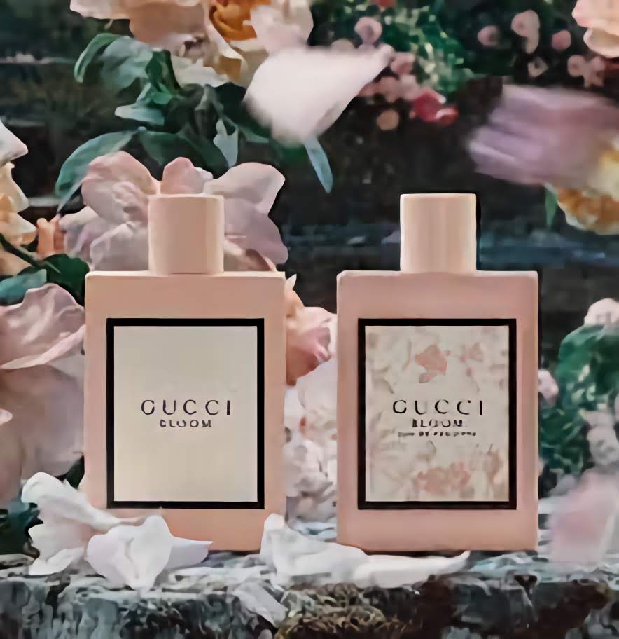 Gucci Collection