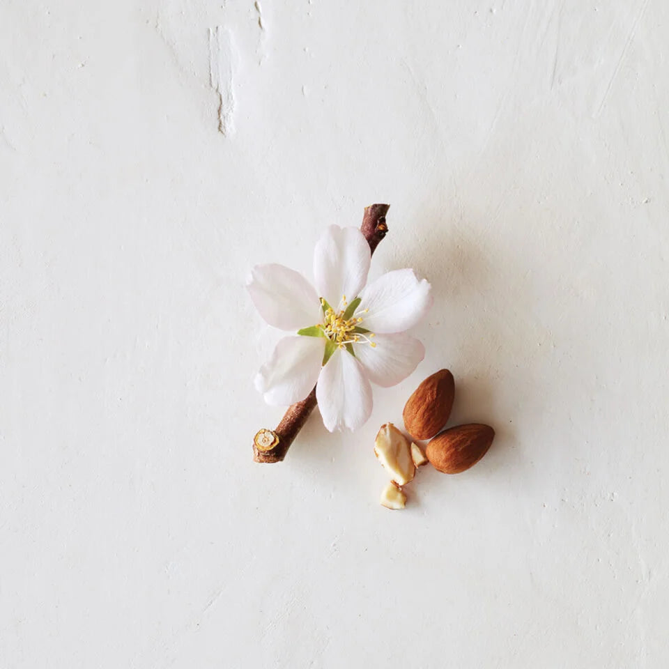 aveda-cherry-almond-conditioner-1000ml
