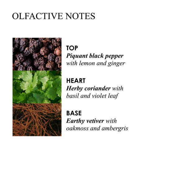 molton-b-re-charge-black-p-b-l-300-ml