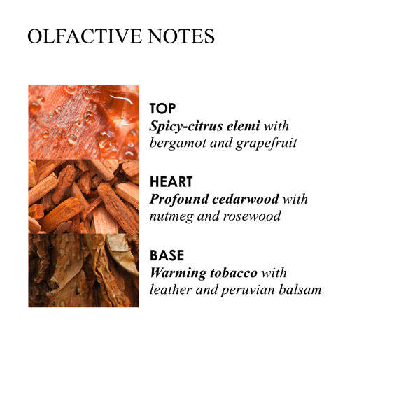 molton-b-tobacco-absolue-s-g-300-ml