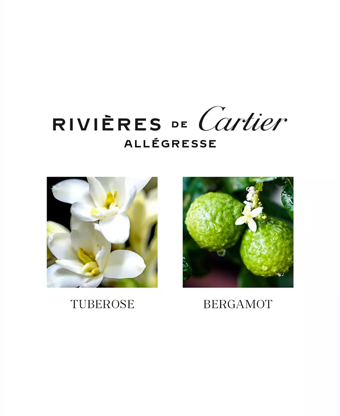 Cartier Rivieres Allegresse edt 100ml v