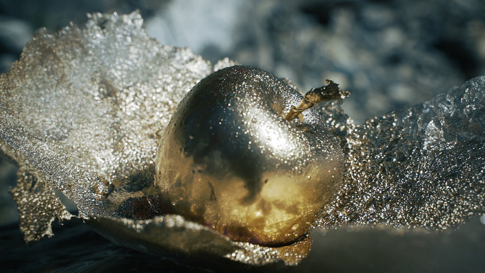 BS24 HYA4PLUSS EFFECT SERUM