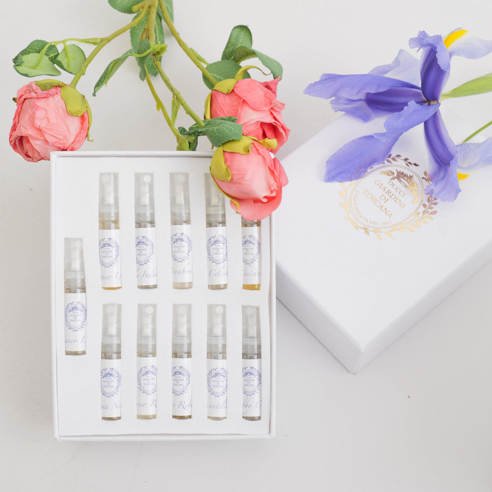 giardini-dt-discovery-kit-13x2ml