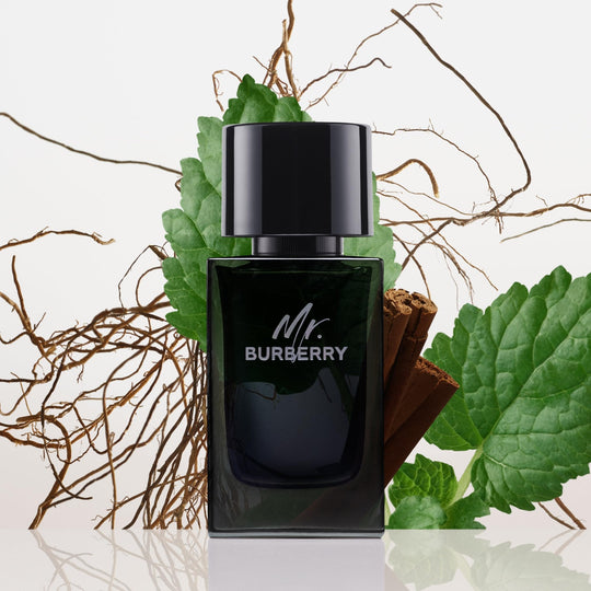 Burberry Mr. Burberry Eau de Parfum 100 ml