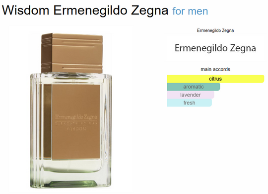 Ermenegildo Zegna Elements of Man Wisdom Concentré de Parfum 50 ml