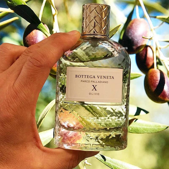 Bottega Veneta Parco Palladiano X Olivo Eau de Parfum 100 ml