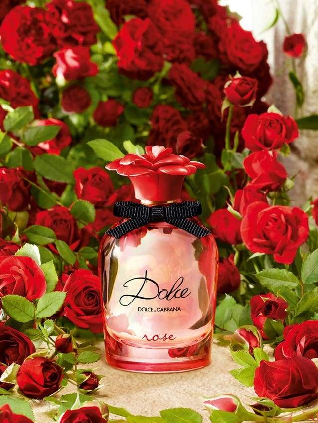 dolce-and-gabbana-dolce-lily-edt-75ml-vapo