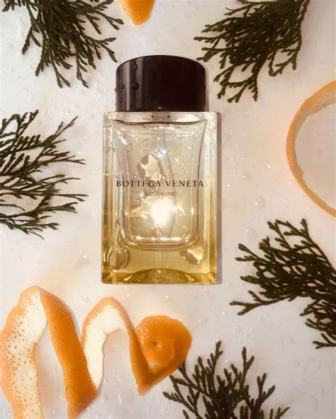 Bottega Veneta Illusione Eau de Toilette 90 ml – BS24 Switzerland AG