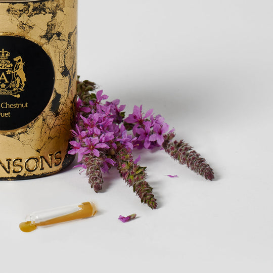 atkinsons-rum-chestnut-duet-cand-200g