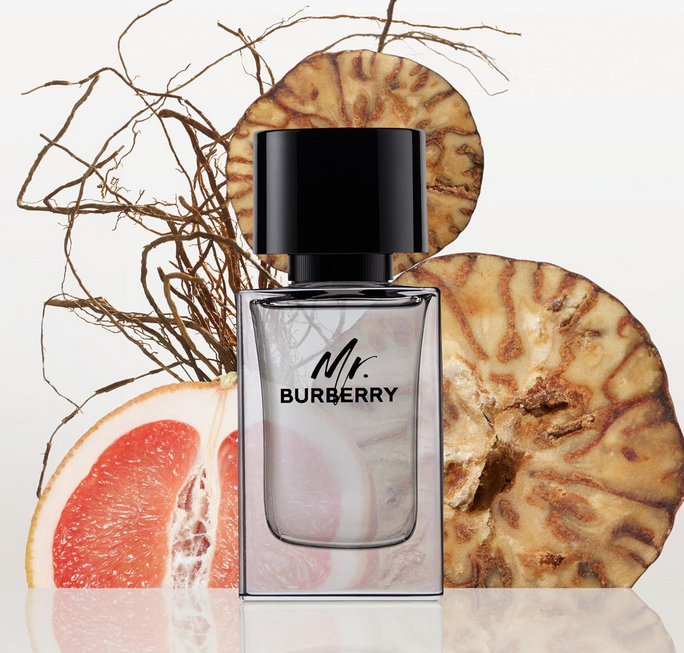 Burberry Mr. Burberry Eau de Toilette 100 ml