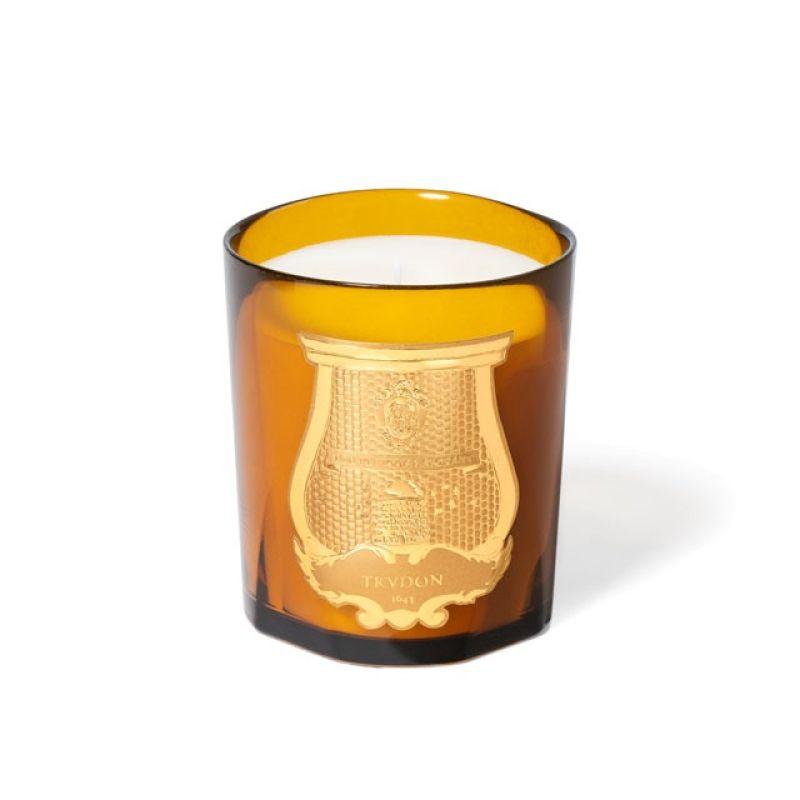 trvdon-spiritus-sancti-refill-o-r-dif-30