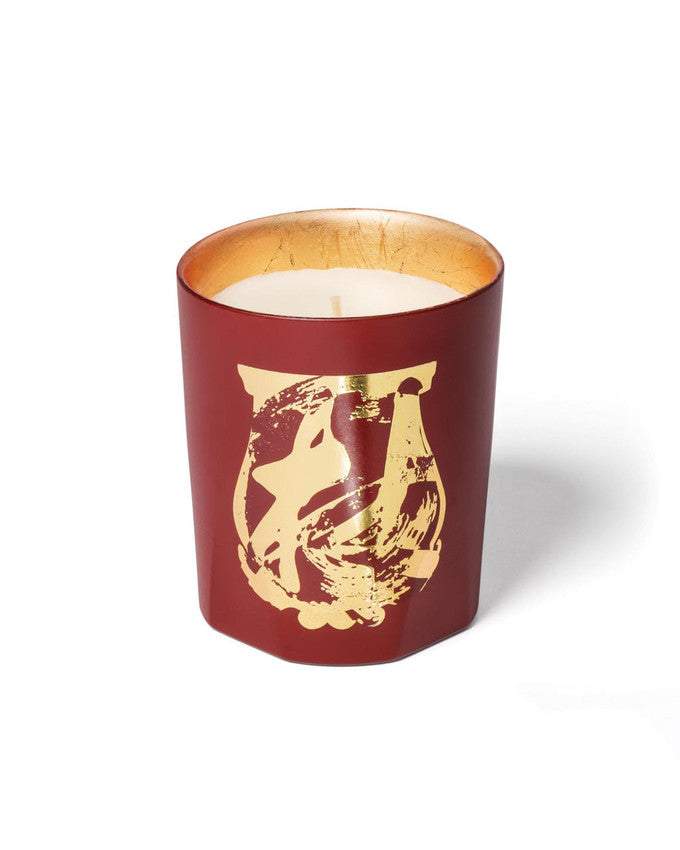 trvdon-terre-a-terre-candle-270g-limited
