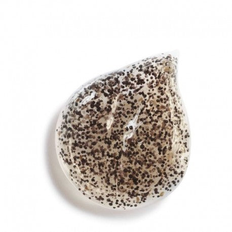 chanel-sublimage-les-grains-de-vanille-50ml