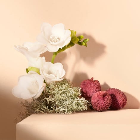 Chloé Nomade edt 50ml