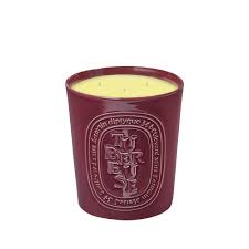 Diptyque Tubereuse Candela 600gr