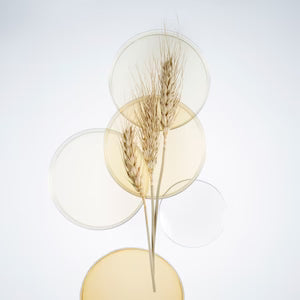 Cellcosmet CellBust-XT 100ml