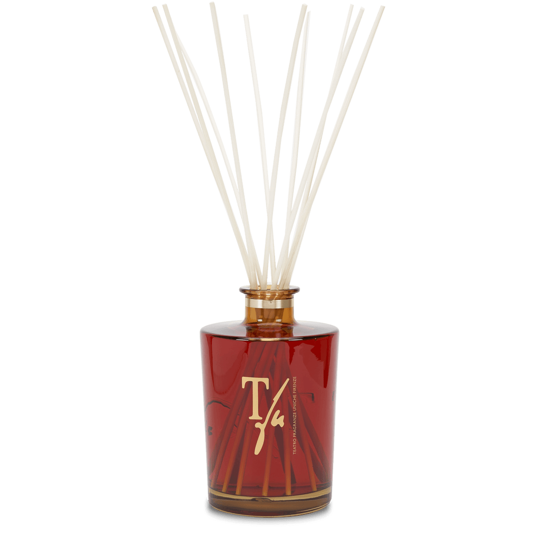 teatro-fr-patchoulove-sticks-3000ml-amb