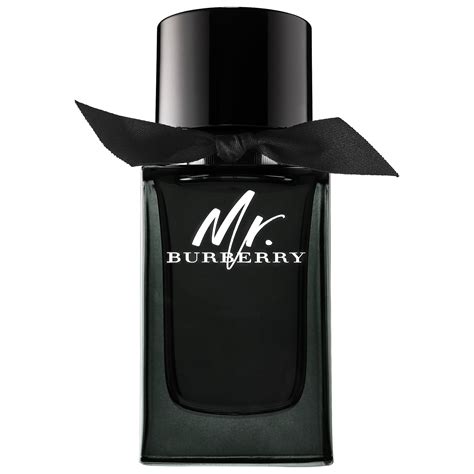 Burberry Mr. Burberry Eau de Parfum 150 ml