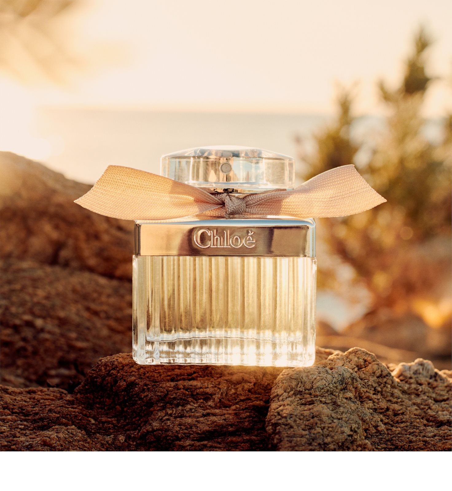 Chloé eau de parfum best sale 75 ml