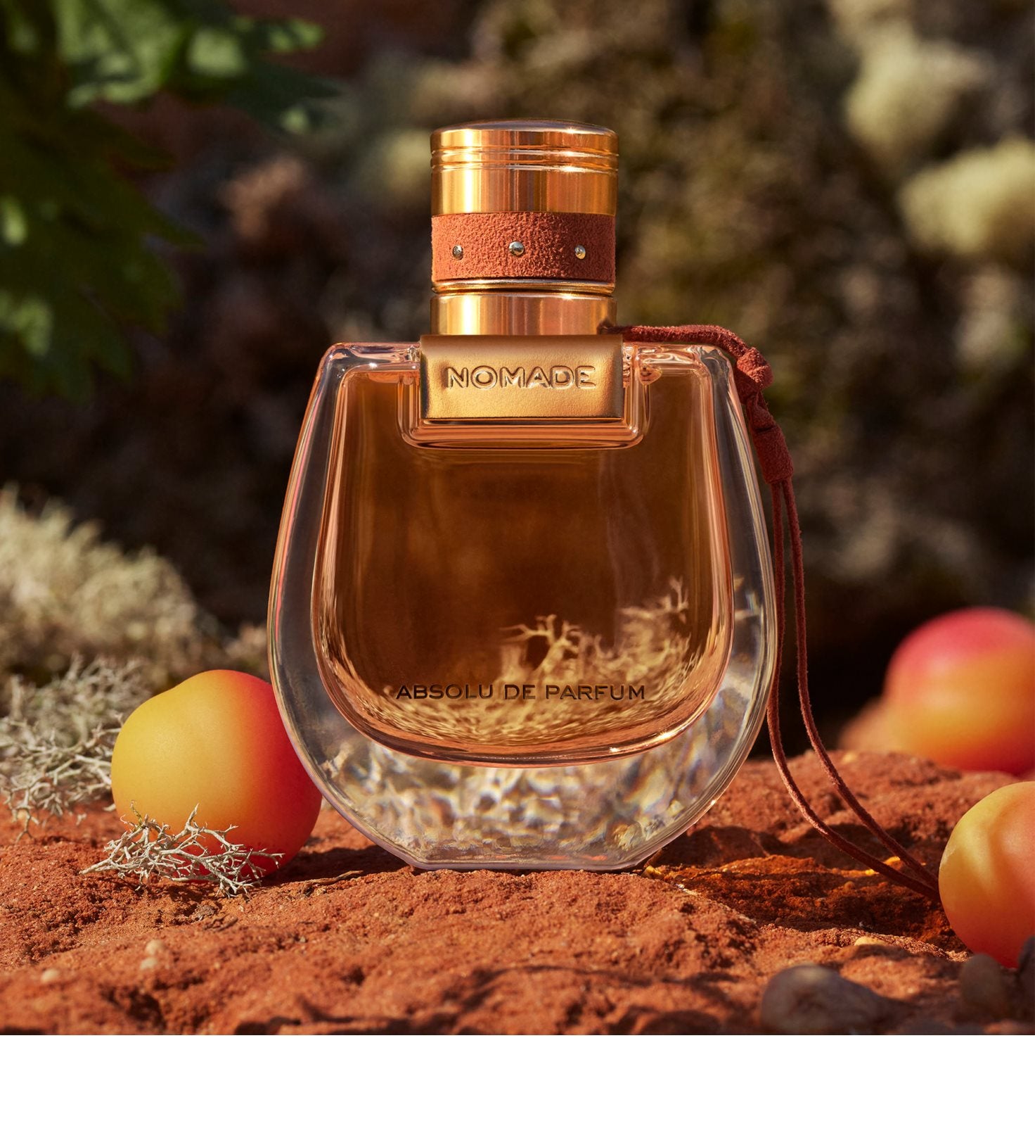 Chloé Nomade Absolu de Switzerland Parfum BS24 30 ml AG –