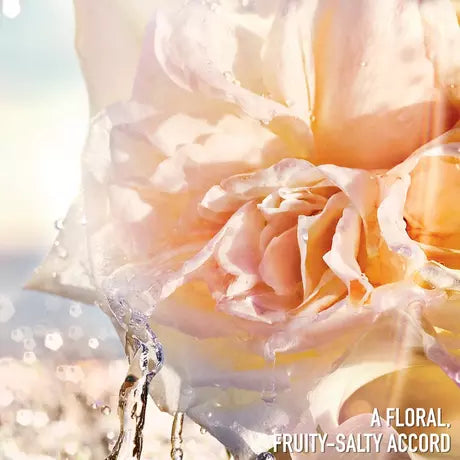 Jadore in joy 30 ml hotsell