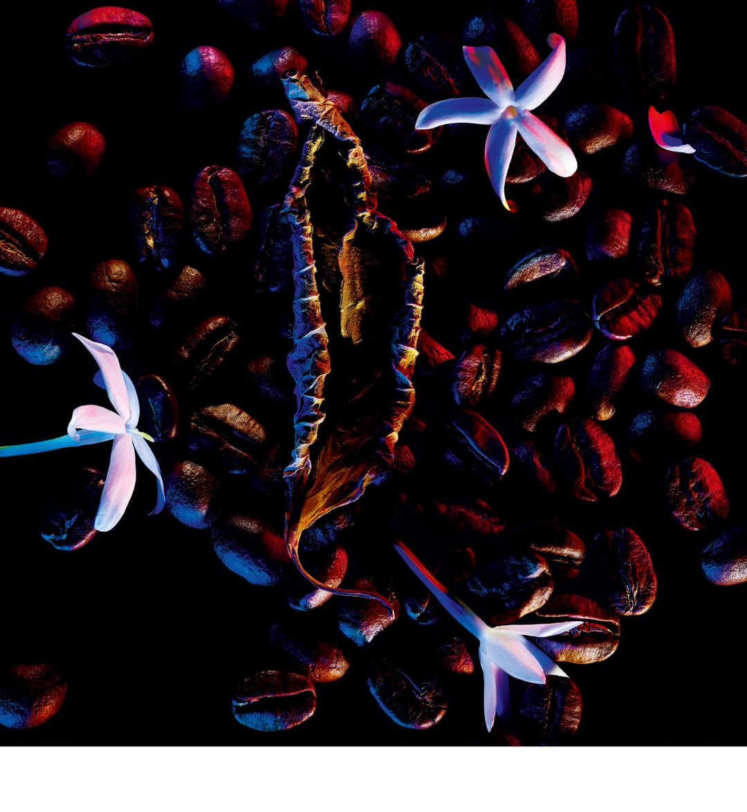 Yves Saint Laurent Black Opium Eau De Parfum 90 Ml